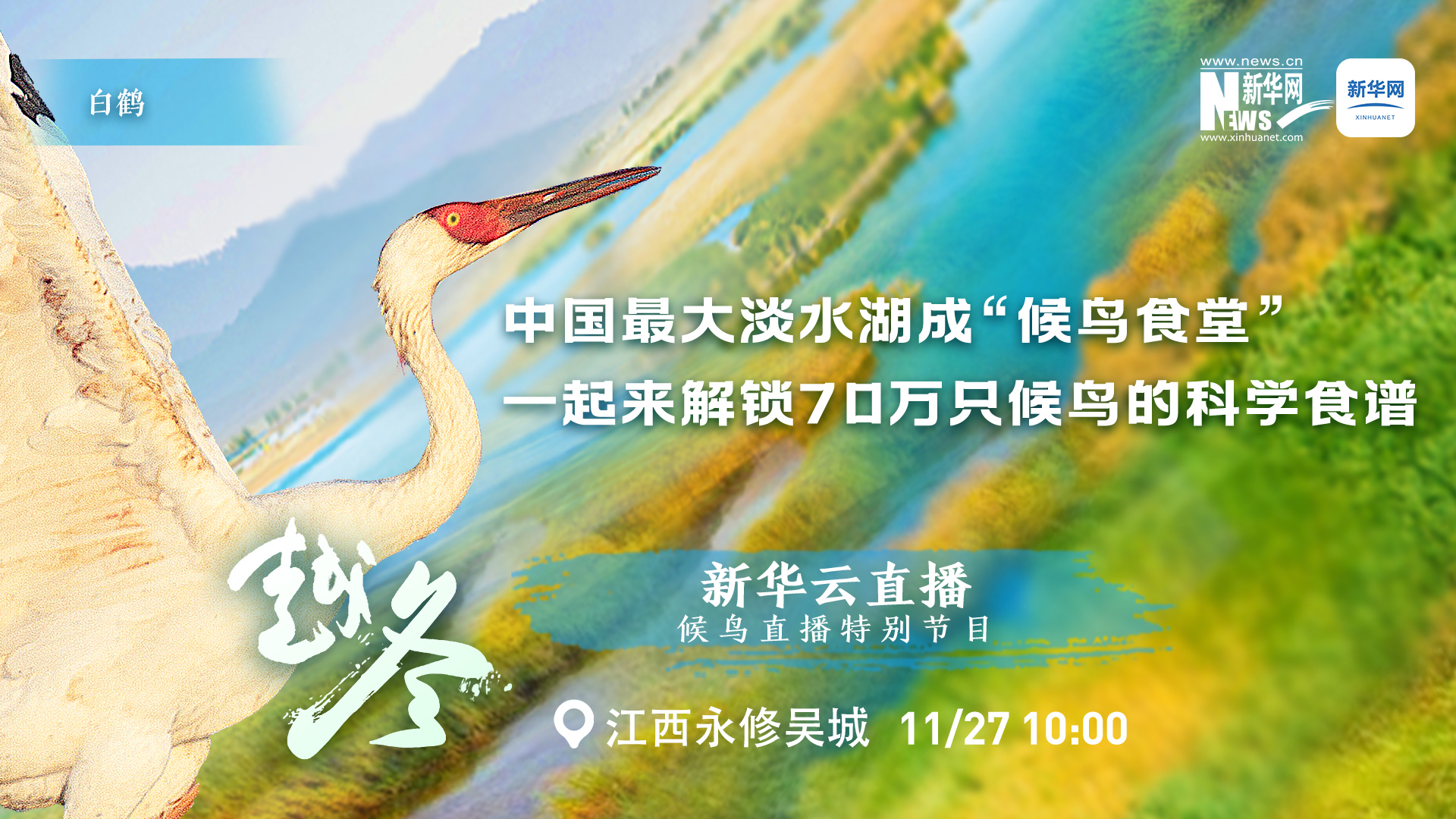 越冬 | 中国最大淡水湖成“候鸟食堂” 一起来解锁70万只候鸟的科学食谱