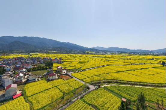 萍乡电信：数智赋能兴乡村 美丽高滩焕新颜