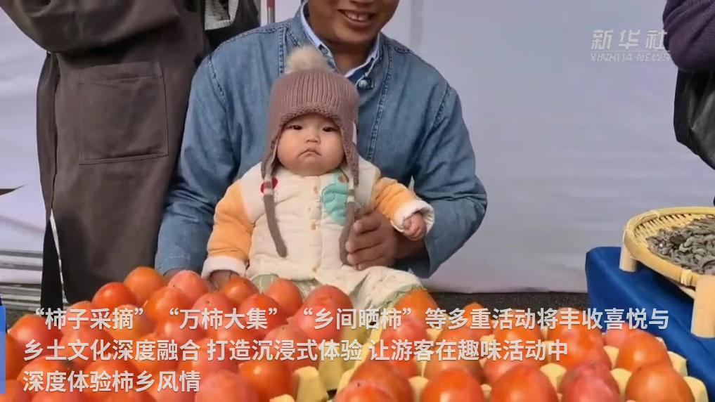 江西鄱阳：盛“柿”满山红 乡村致富果