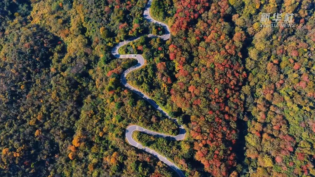 江西湖口:山林秋色美如画