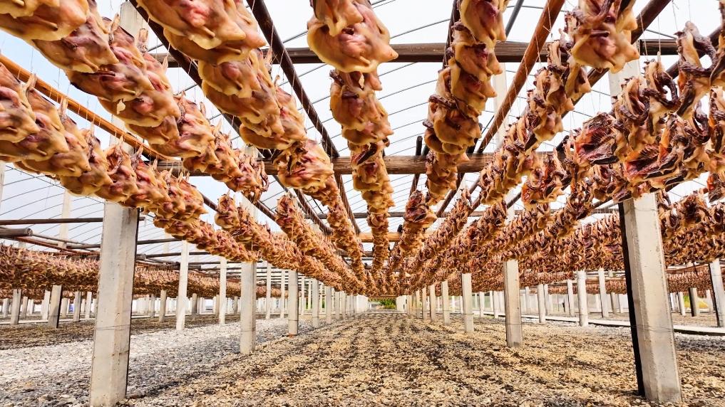 南安板鸭 冬日飘香