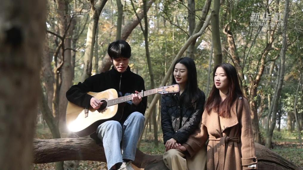 江西泰和:金滩古林彩叶正盛