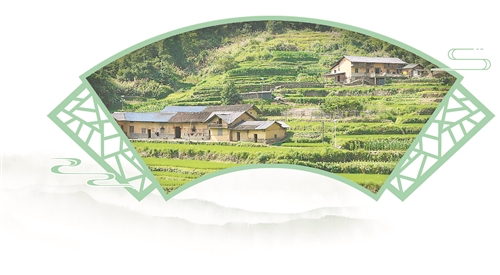 修水县：布甲乡太阳村 樱林深处 古村蝶