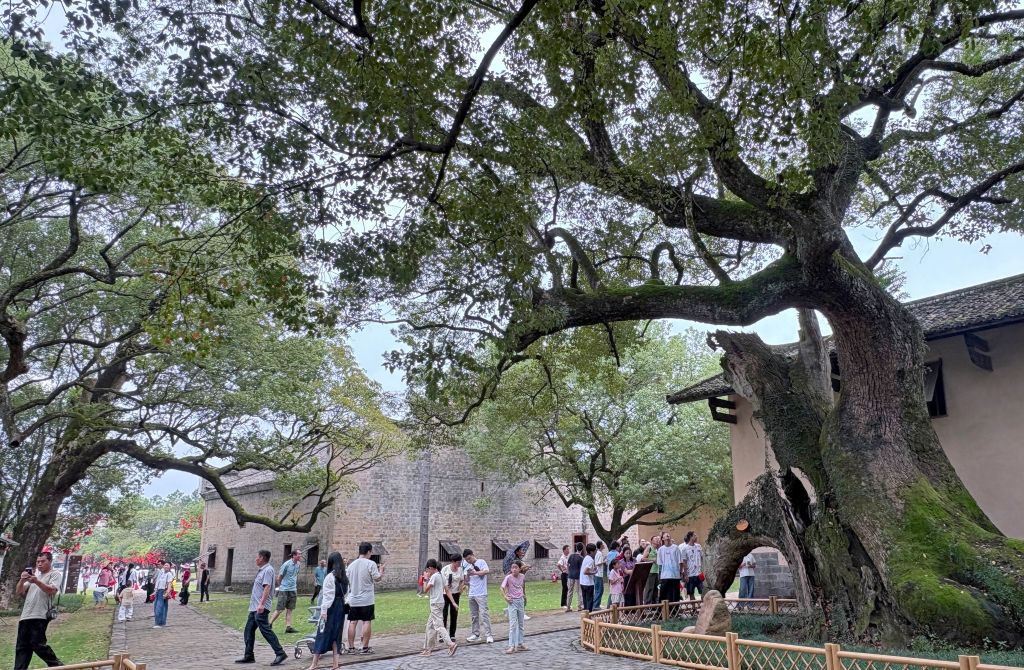赓续长征精神 奋进复兴征程｜长征出发地 红色资源托起老区振兴