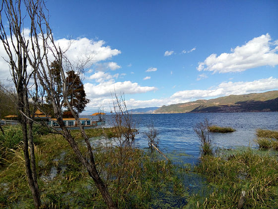 手机拍照怎么拍出真风景 3b5e74abef43f1ef06f946fcf455d24e1n.jpg