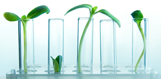 三星宝洁砸广告销量反降:不思变的大公司