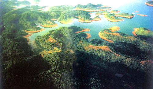 中国高安网·瑞州掠影