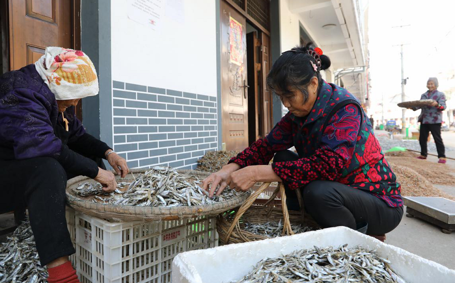 魚幹飄香 鄱陽湖畔漁民曬魚忙