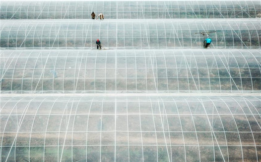 新年伊始農事忙