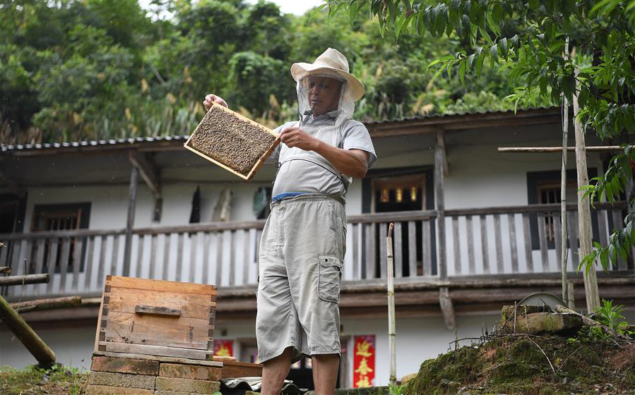 &ldquo;13610&rdquo;産業幫扶助力精準脫貧