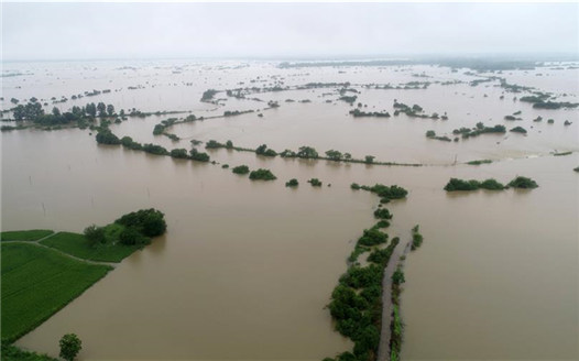 江西撫州遭強降雨襲擊 搶險救援工作積極展開