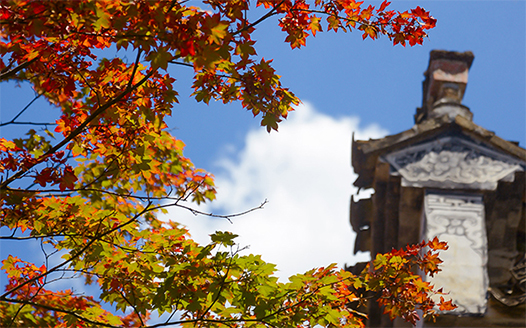 婺源篁嶺：盛夏賞紅楓