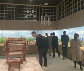 走进麻博物馆 探寻“中国草”的前世今生