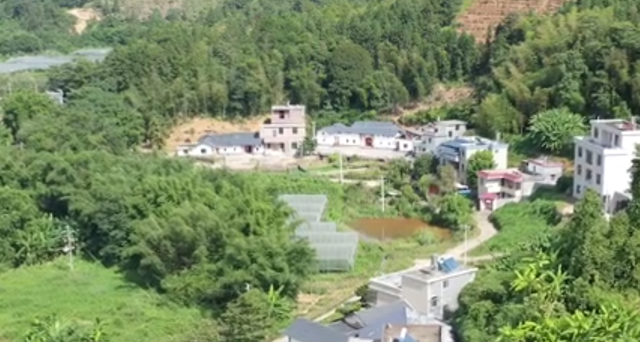 赣南留车村的产业发展之路