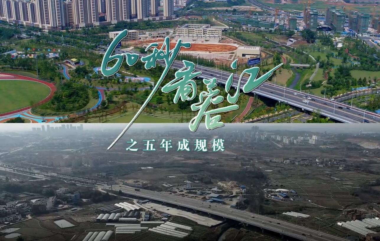 【赣视频】“60秒看蓉江”之五年成规模