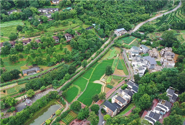 继续做大影响力 让老百姓生活越过越好