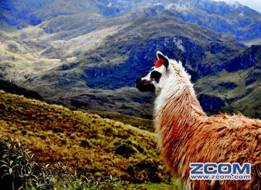 世界上距离太阳最近的国度--厄瓜多尔