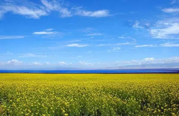 青海湖夏季旅游:景点行程全攻略