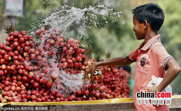 去印度旅行要当心哪些危险?