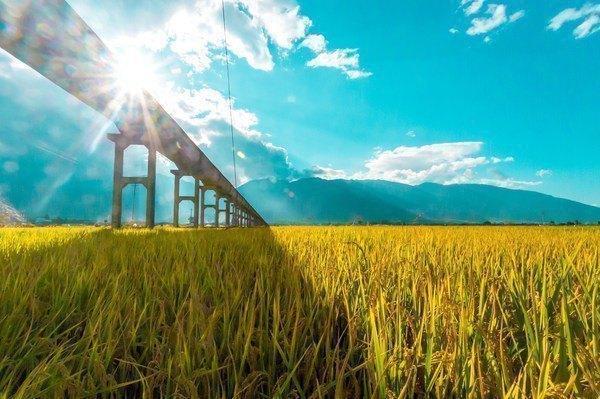 2016最强最实用的丽江自助游攻略