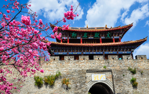 阳春三月,唯大理不可辜负,赏花去吧