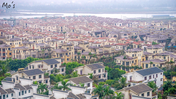 海南丨清新澄迈 异木棉盛开的夏天