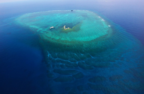 个人如何去西沙群岛旅游?