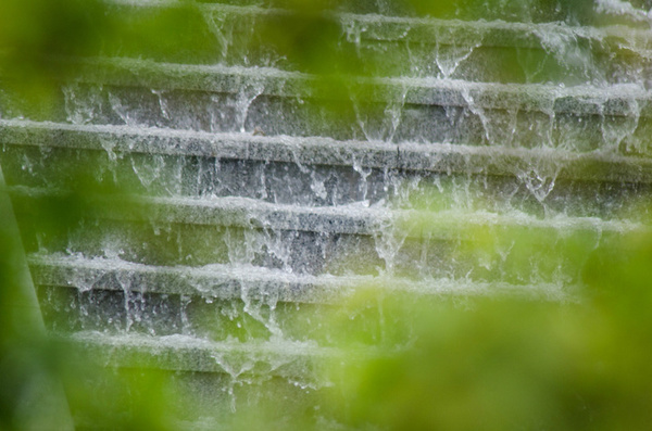 花季扬州:花花世界,怎能不为此而迷倒?