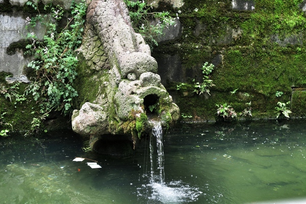 春日最是无锡好 人间四月天锡惠公园寻杜鹃
