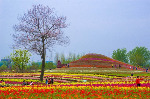 【扬州】花花世界的正确打开方式 跟我一起