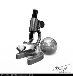 防晒服究竟防不防晒?价高的就一定好吗?